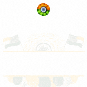 Independence Day Essay GIF by FirstCry Parenting