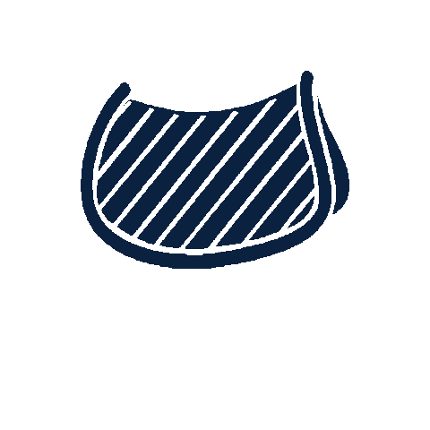 Achieve Equine Sticker