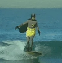 surf surfing GIF