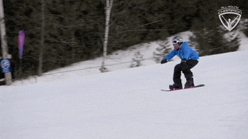 Snowboarding Lets Go GIF by All-Round Champion