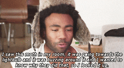 gambino
