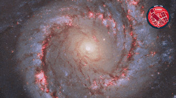 Spin Nasa GIF by ESA/Hubble Space Telescope