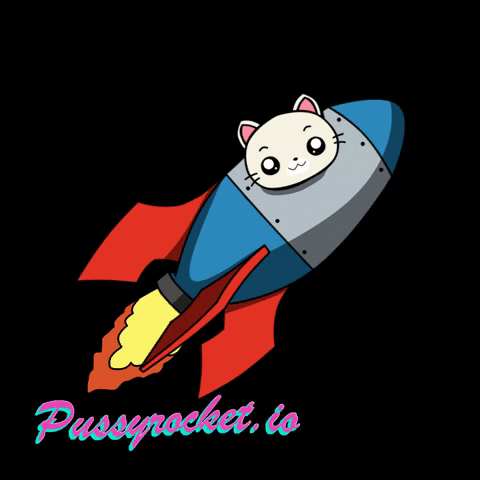 PussyRocket GIF