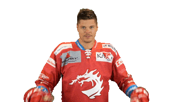 Roughing Ice Hockey Sticker by HC Oceláři Třinec