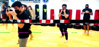 Kickboxing GIF