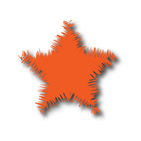 Star Sticker