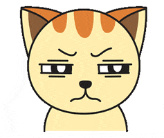 Angry Cat GIF by GoodMorningCat