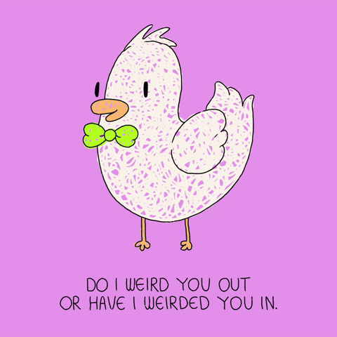 Stay Weird Bow Tie GIF