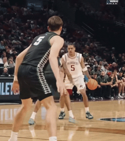 Arkansas Razorbacks Basketball GIF