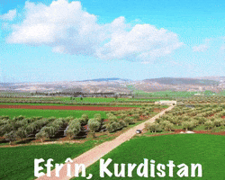 Kurdistan Kurdish GIF