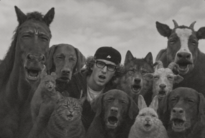 What Happened Wtf GIF by Jan Metternich