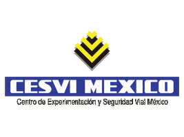 cesvimexico Sticker