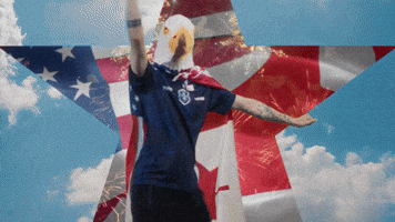 Eagle Counterstrike GIF by TeamLiquid