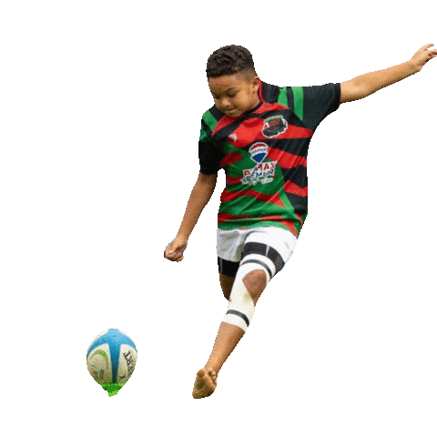 South Africa Mason Sticker by GrowZA