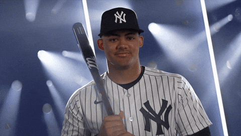 Excited New York Yankees GIF by YES Network - Find & Share on GIPHY