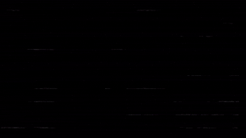 Bear GIF