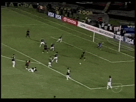 sao marcos sport GIF by SE Palmeiras