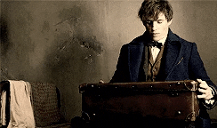 Animales Fantasticos GIF