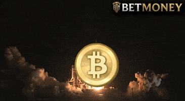 Bitcoin Coin GIF by BetMoney
