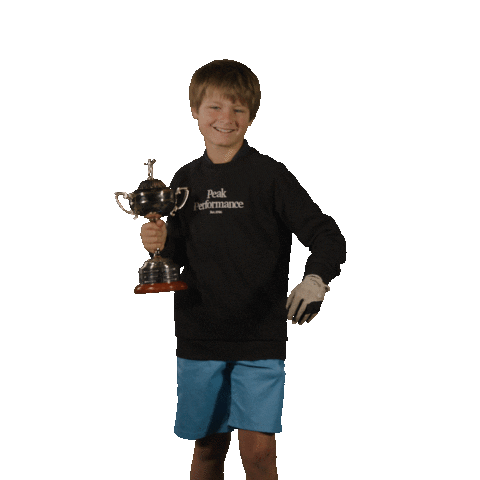 Golf Vlaanderen Sticker