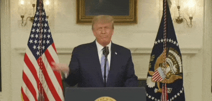 Shut It Down Donald Trump GIF by GIPHY News