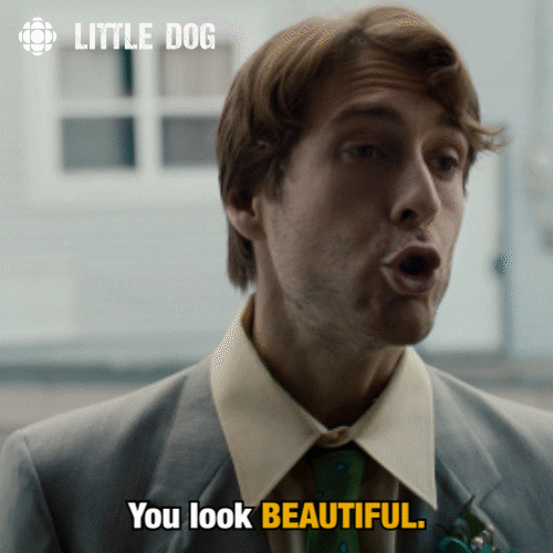 Dog Comedy GIF by CBC