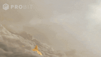 Spacex Rocket Launch GIFs - Find & Share on GIPHY