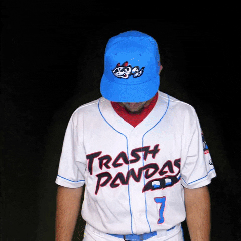 Minor League Baseball GIF by Rocket City Trash Pandas