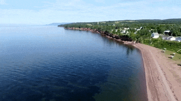 Caplan GIF