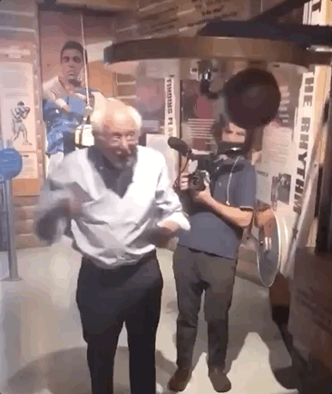 Image result for bernie punching bag gif