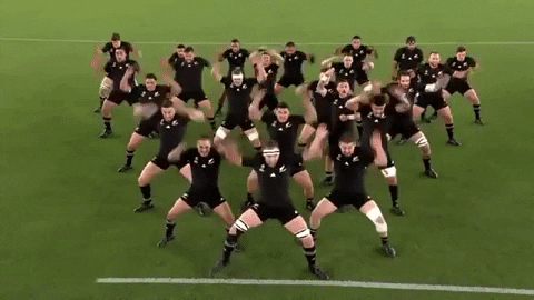 Read New Zealand GIF by Rugby World Cup - Find & Share on GIPHY