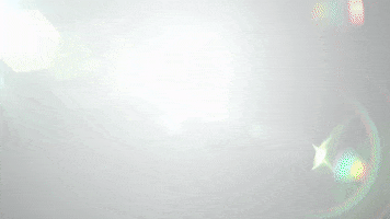 vangelis GIF