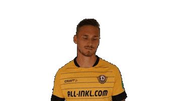 SG Dynamo Dresden Sticker