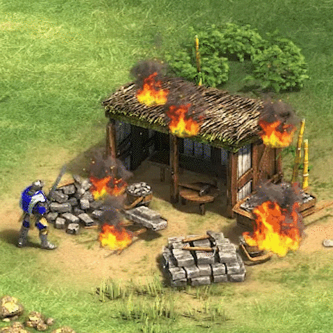 Age of Empires 2