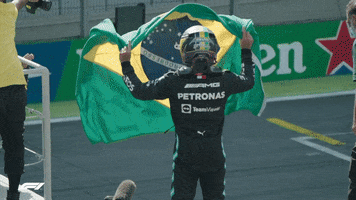 Lewis Hamilton Win GIF by Formula 1
