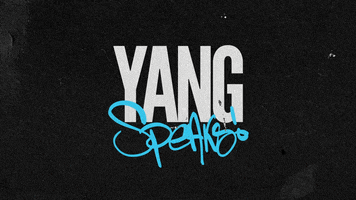 Yang Gang Podcast GIF by ALL SEEING EYES