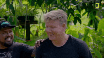 Uncharted Gordon Ramsay GIF by National Geographic Channel