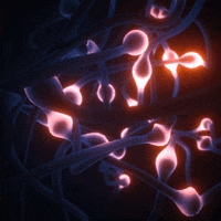 Synapses GIFs - Get the best GIF on GIPHY
