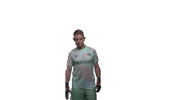 Nec Rijk Sticker by necnijmegen
