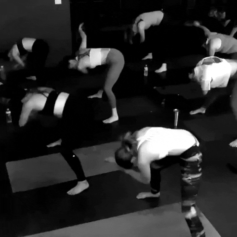 The Barre +  Yoga Experience GIF