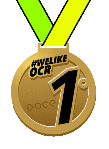 Welikeocr Sticker