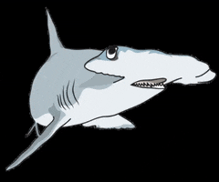 Orejademar shark hammer marine predator GIF