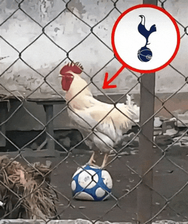 Premiere League Soccer GIF