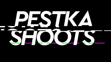 Pestka Shoots GIF