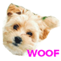 Dog Barking Sticker by Save the Student