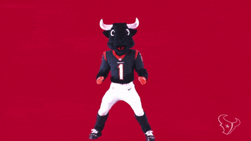 Mascot Yes GIF by Houston Texans
