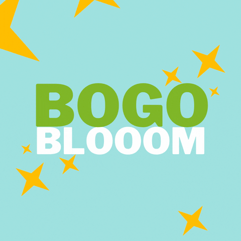 Bogo GIF by blooom