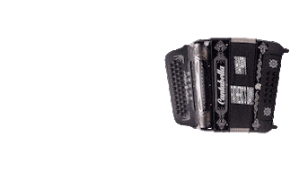 accordionproshop Sticker