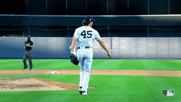New York Yes GIF by New York Yankees
