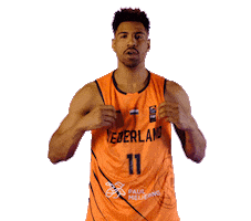 Basketball Nederland Sticker